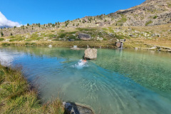 Leon im Kreuzboden Bergsee